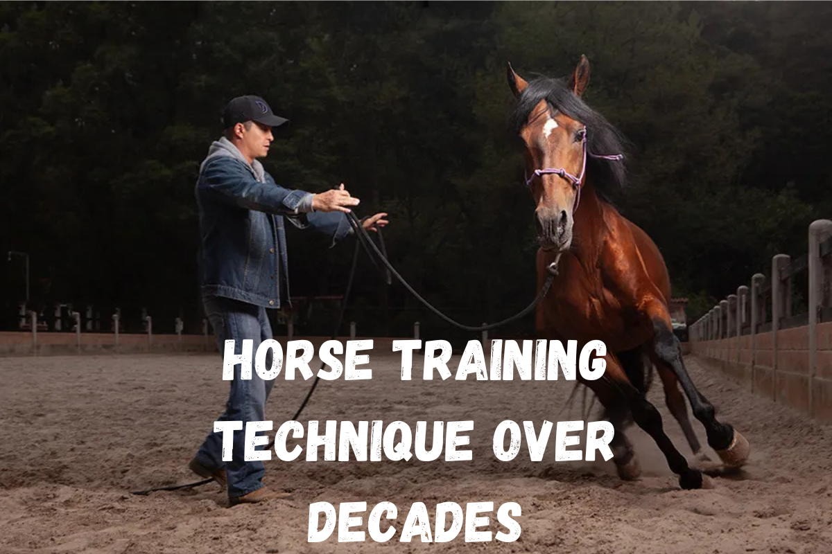 Horse Training Technique Over Decades