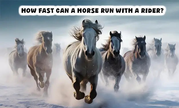 How Fast Can a Horse Run with a Rider?