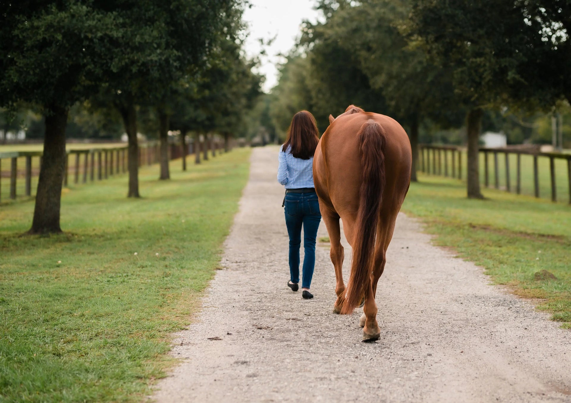 Stylish, Classic Products For The Everyday Equestrian