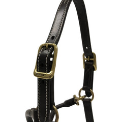 Huntley Equestrian Fancy Stitched Adjustable Premium Leather Pony Halter with Brass Hardware - Huntley Equestrian