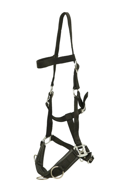 Huntley Nylon Padded Lunging Caveson, Black Huntley Equestrian