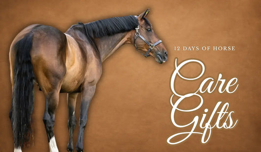 12-Days-of-Horse-Care-Gifts Huntley Equestrian
