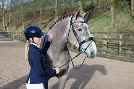 Best-Colors-for-Riding-Jackets-Your-Ultimate-Guide-to-Style-and-Safety Huntley Equestrian