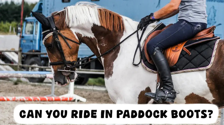 Can You Ride in Paddock Boots?