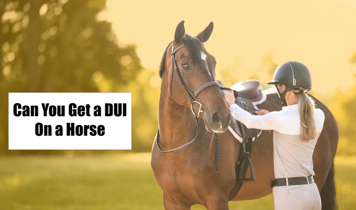 Can you get a DUI on a Horse?