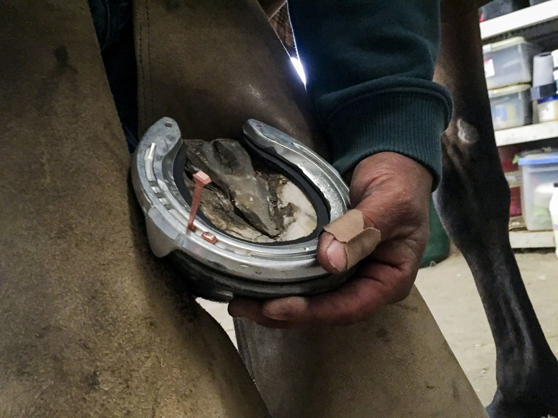 Copper Horse Shoe Nails