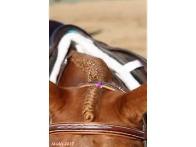 Getting Your Horse Spring Ready - Huntley Equestrian