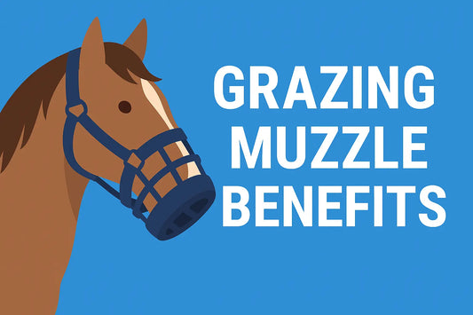 Grazing-Muzzle-Benefits-Effective-Weight-Management-for-Horses Huntley Equestrian