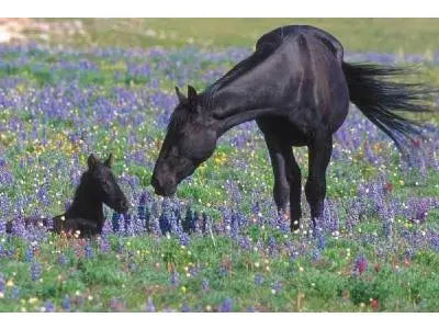 Happy Mother’s Day