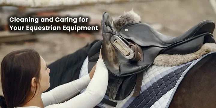 How to Care and Maintain Your Horse Tack for Long-Lasting Use