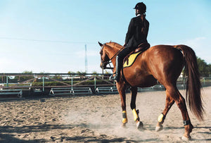 How to Choose Equestrian Jacket That Matches Your Riding Skills
