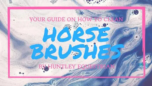 How to Clean Horse Brushes - Huntley Equestrian