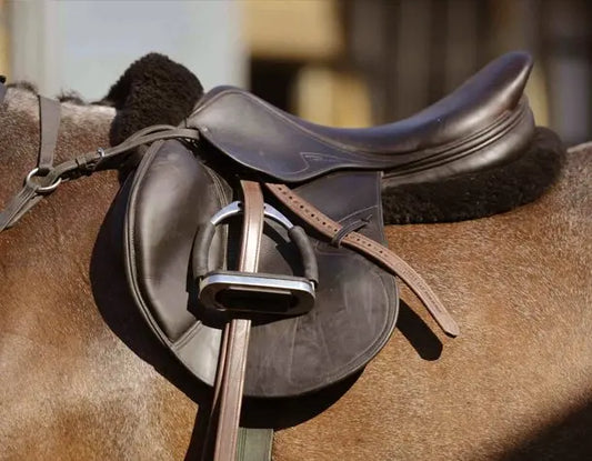 How to Select Comfortable and Safe Horse Accessories - Huntley Equestrian