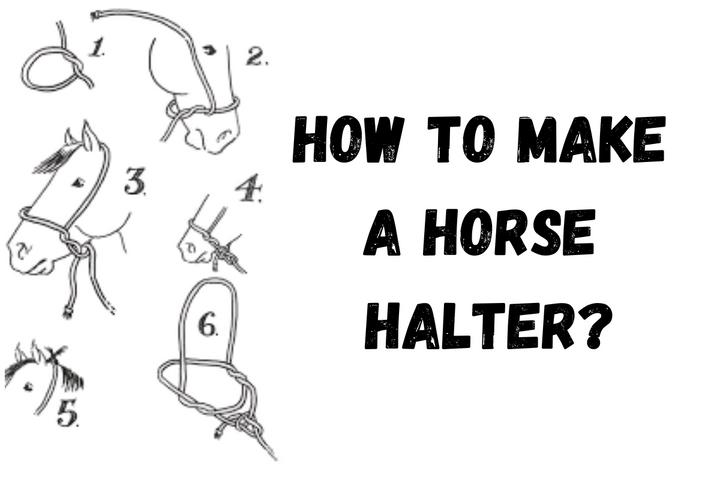 How to Make A Horse Halter?