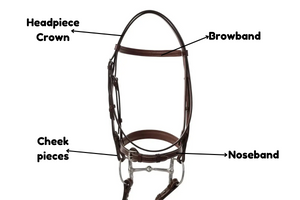 What are Bridles?