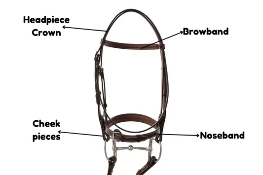 bridles