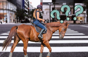 Is It Illegal To Ride A Horse On The Road?