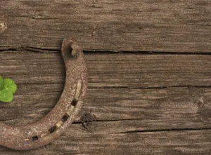 Lucky you with the horseshoe! 🍀