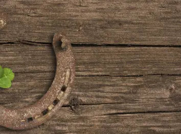 Lucky you with the horseshoe! 🍀