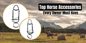 The Must Have Horse Accessories for Training and Performance