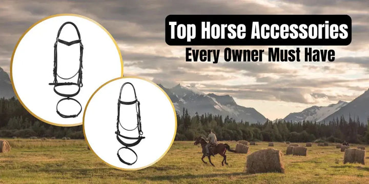 The Must Have Horse Accessories for Training and Performance