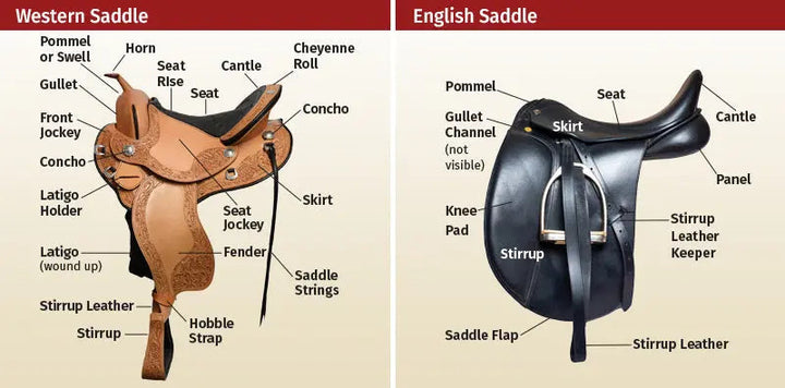 Western vs. English Riding Gear key Difference and Uses