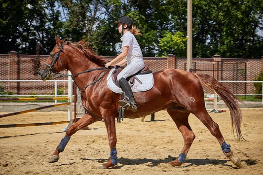 Why-Necessary-Horse-Riding-Equipment Huntley Equestrian