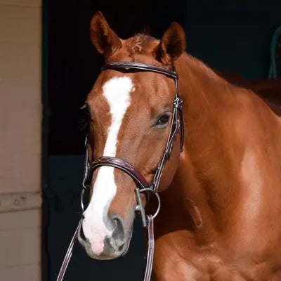 Best Seller - Huntley Equestrian