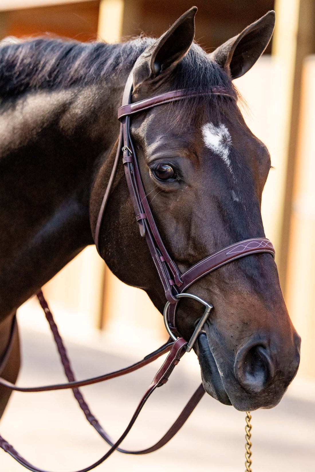 Huntley Equestrian Fancy Stitched Schooling Laced Reins