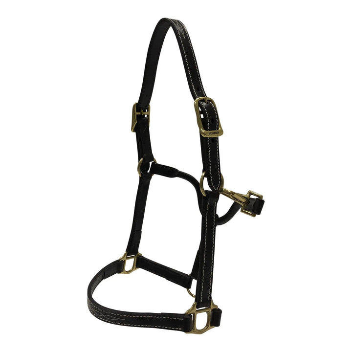 Huntley Equestrian Fancy Stitched Adjustable Premium Leather Pony Halter with Brass Hardware Huntley Equestrian