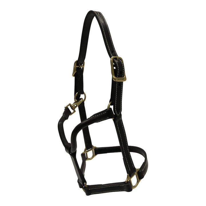 Huntley Equestrian Fancy Stitched Adjustable Premium Leather Pony Halter with Brass Hardware - Huntley Equestrian