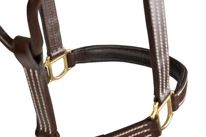 Huntley Equestrian Fancy Stitched Premium Leather Padded Halter - Huntley Equestrian