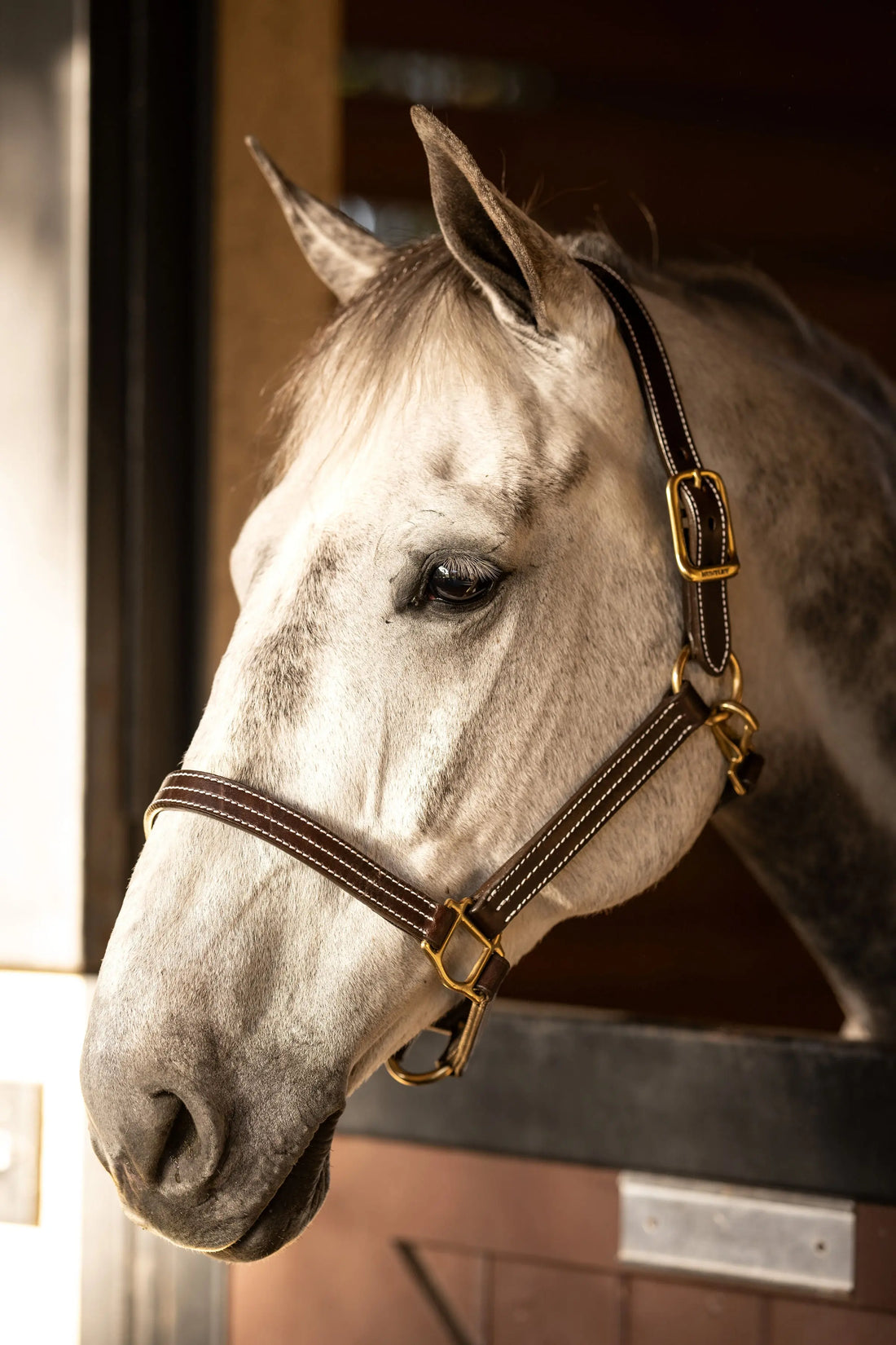 Huntley Equestrian Premium Leather Triple Stitched Halter with Snap - Huntley Equestrian