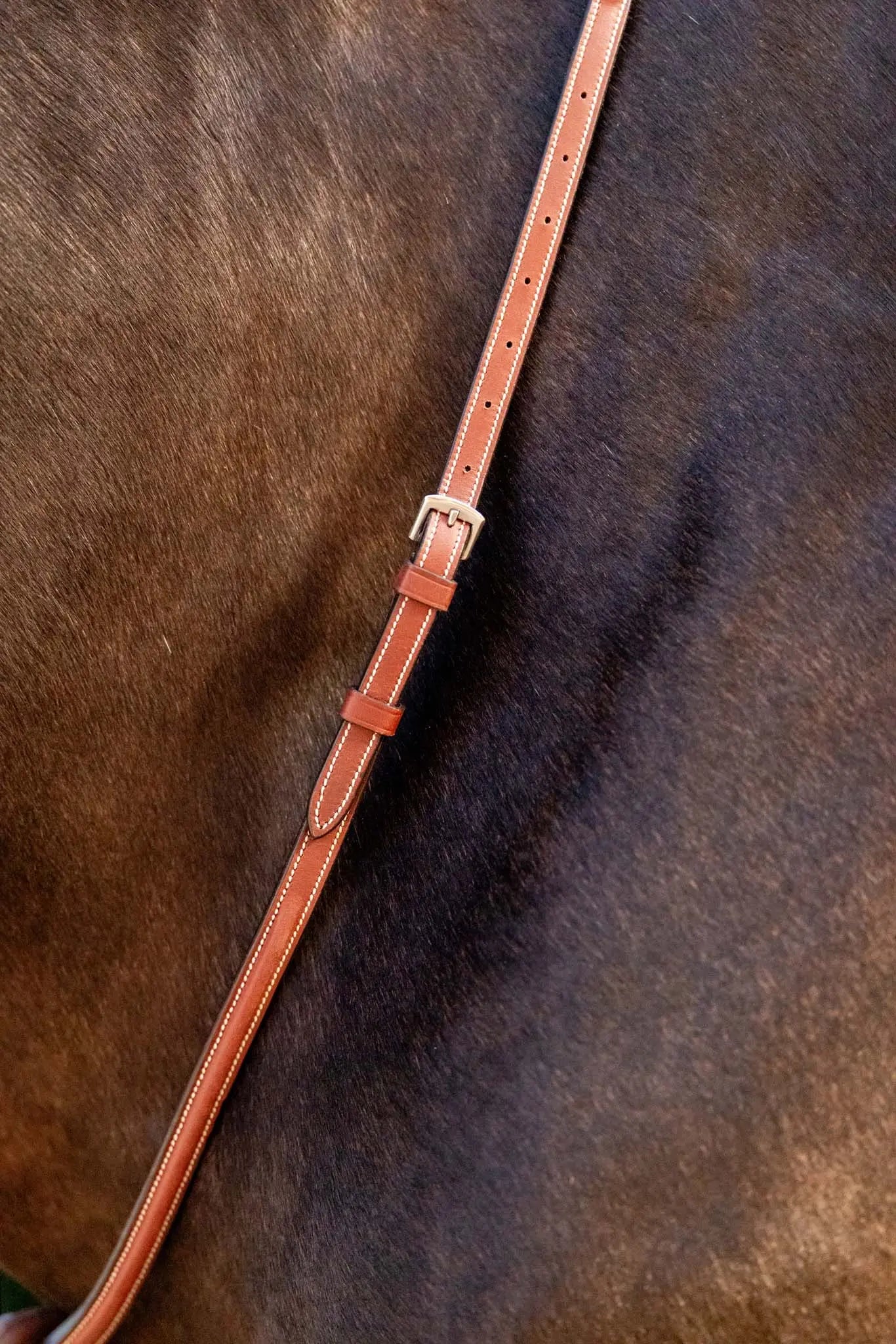 Huntley Equestrian Schooling Standing Martingale, Italian Leather Huntley Equestrian