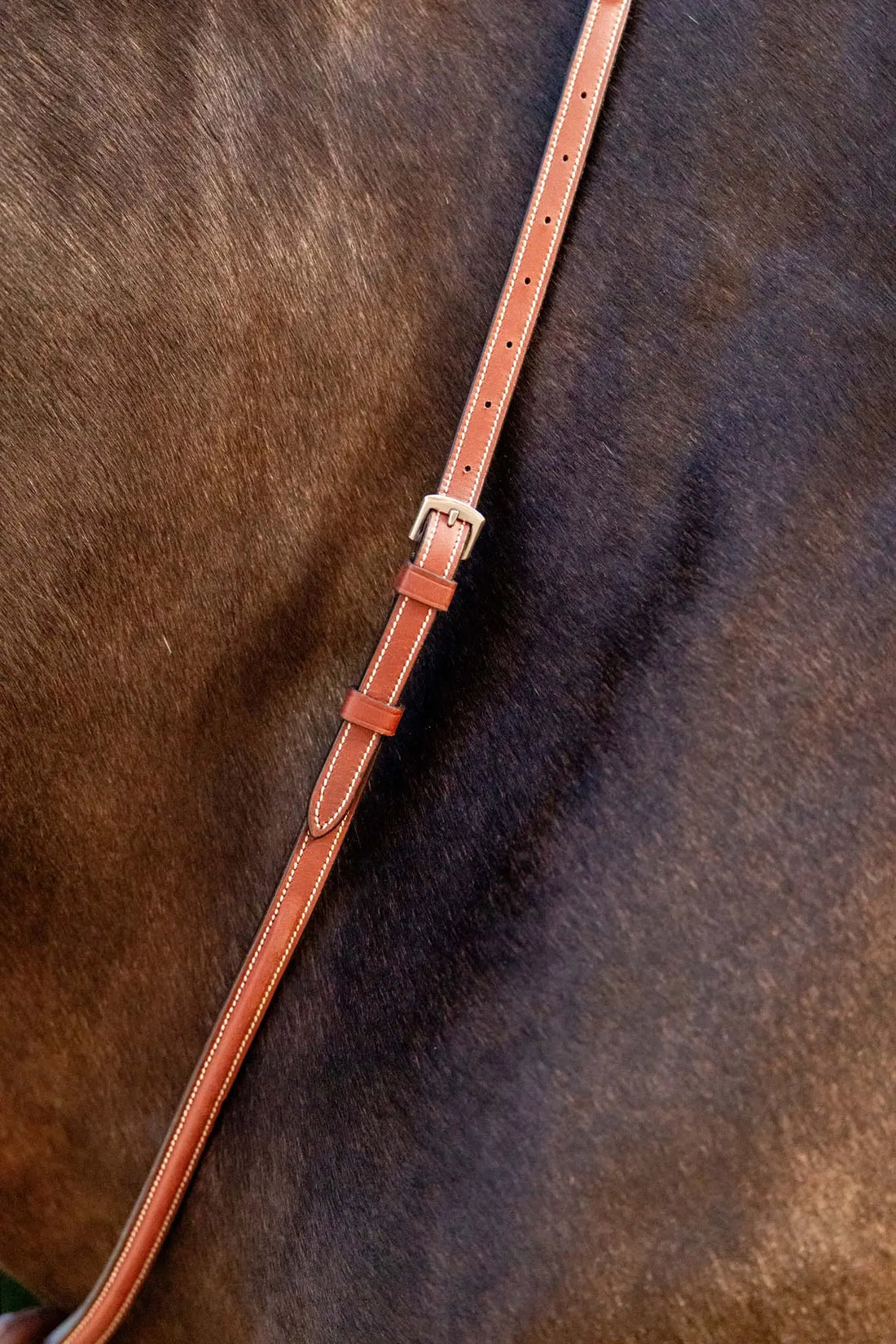 Huntley Equestrian Schooling Standing Martingale, Italian Leather Huntley Equestrian