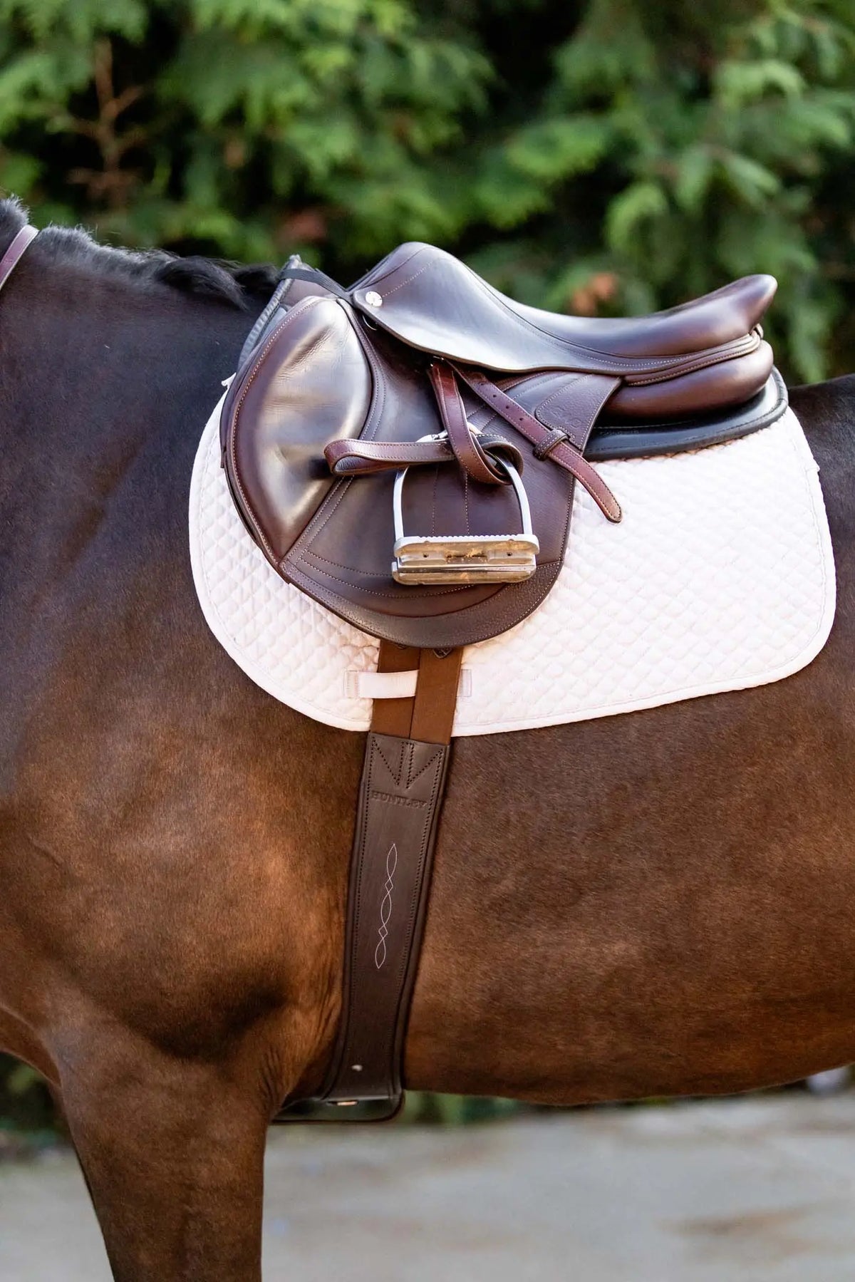 https://www.huntleyequestrian.com/cdn/shop/files/Huntley-Equestrian-Sedgwick-Leather-Fancy-Stitched-Padded-Leather-Contour-Shaped-Girth-with-Double-End-Elastic-Huntley-Equestrian-184315453.jpg?v=1766089727&width=1200