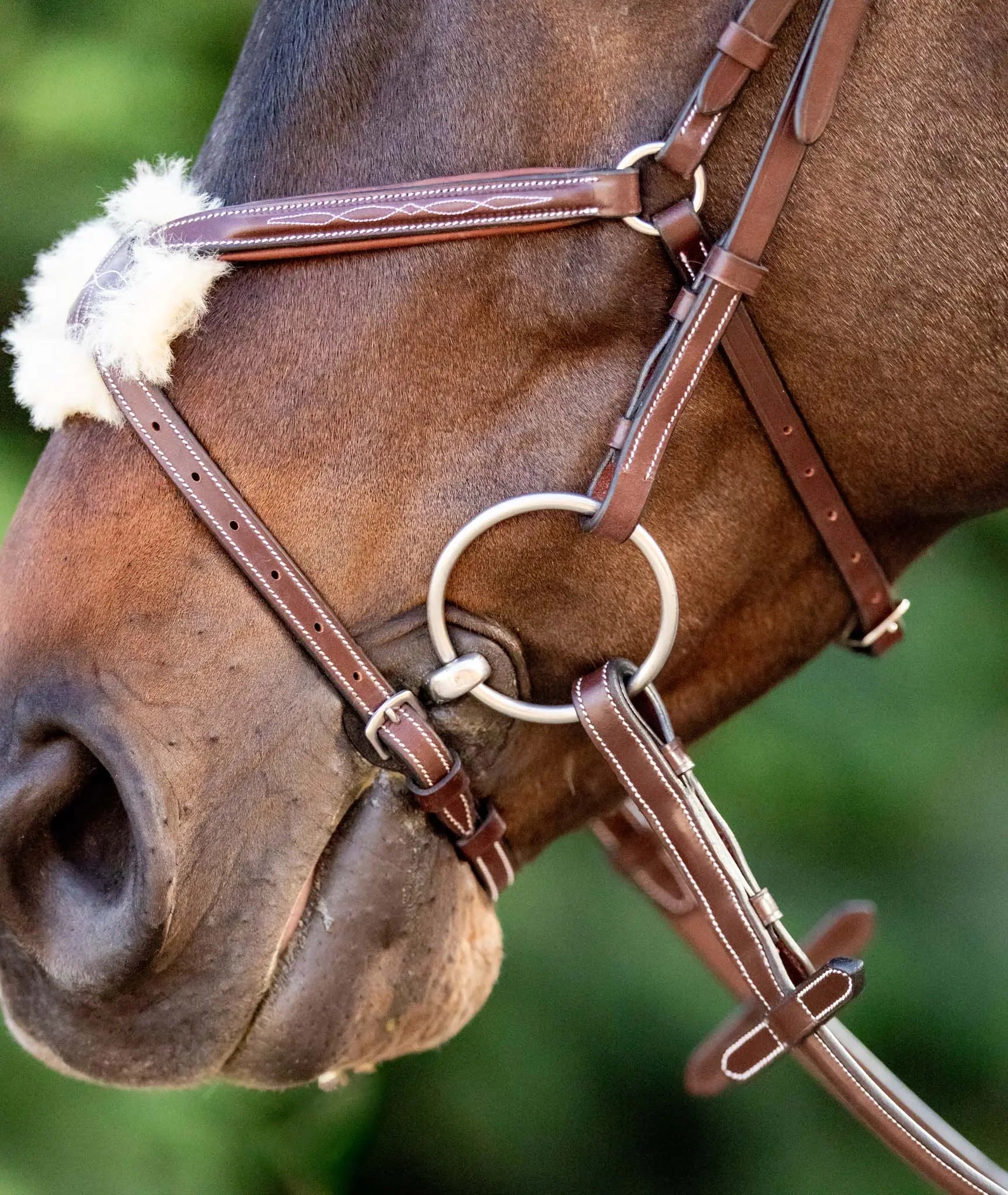 Huntley Equestrian Sedgwick Leather Padded Monocrown Figure 8 Bridle Huntley Equestrian
