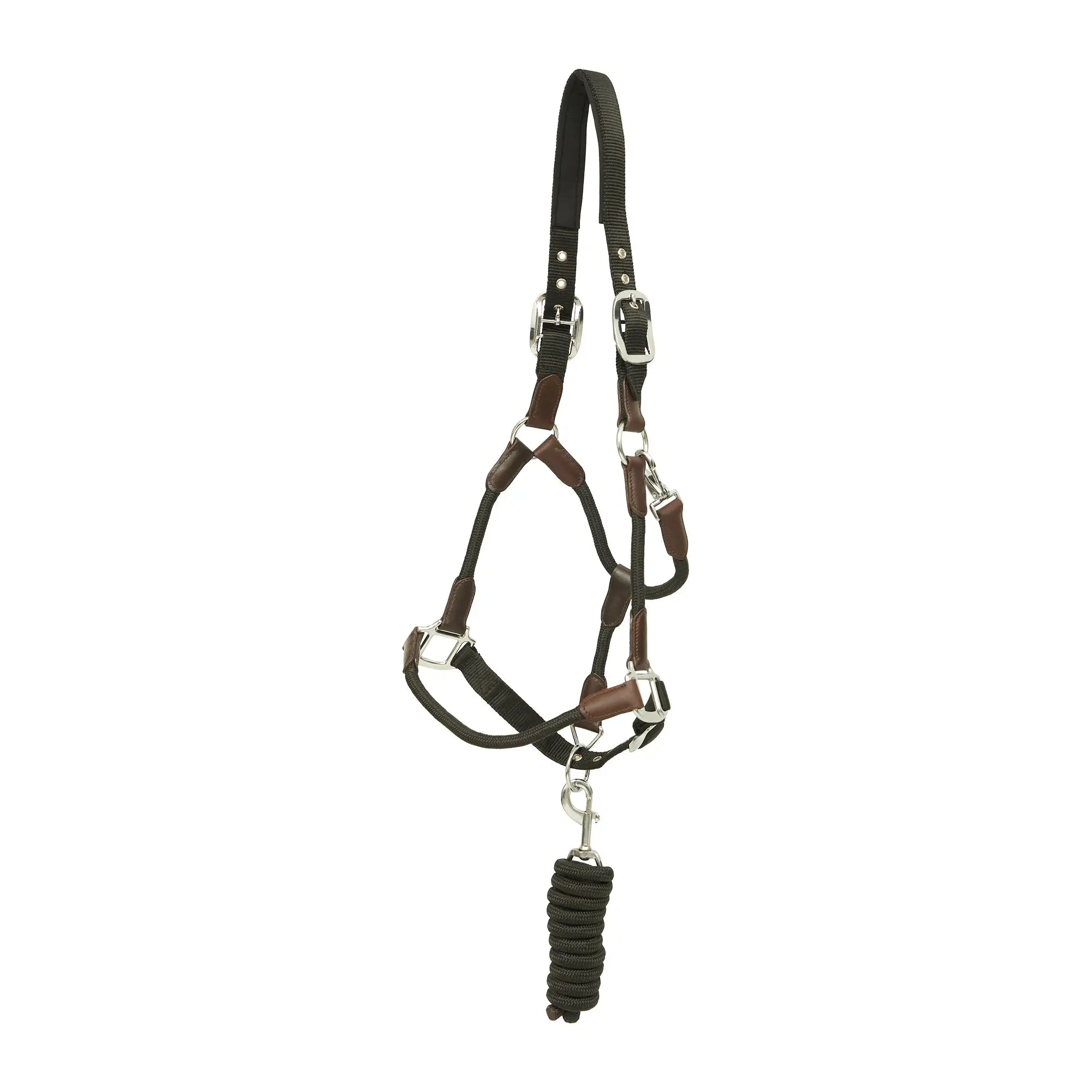 Huntley Nylon Halter and Removable Lead with Snap, Black Huntley Equestrian