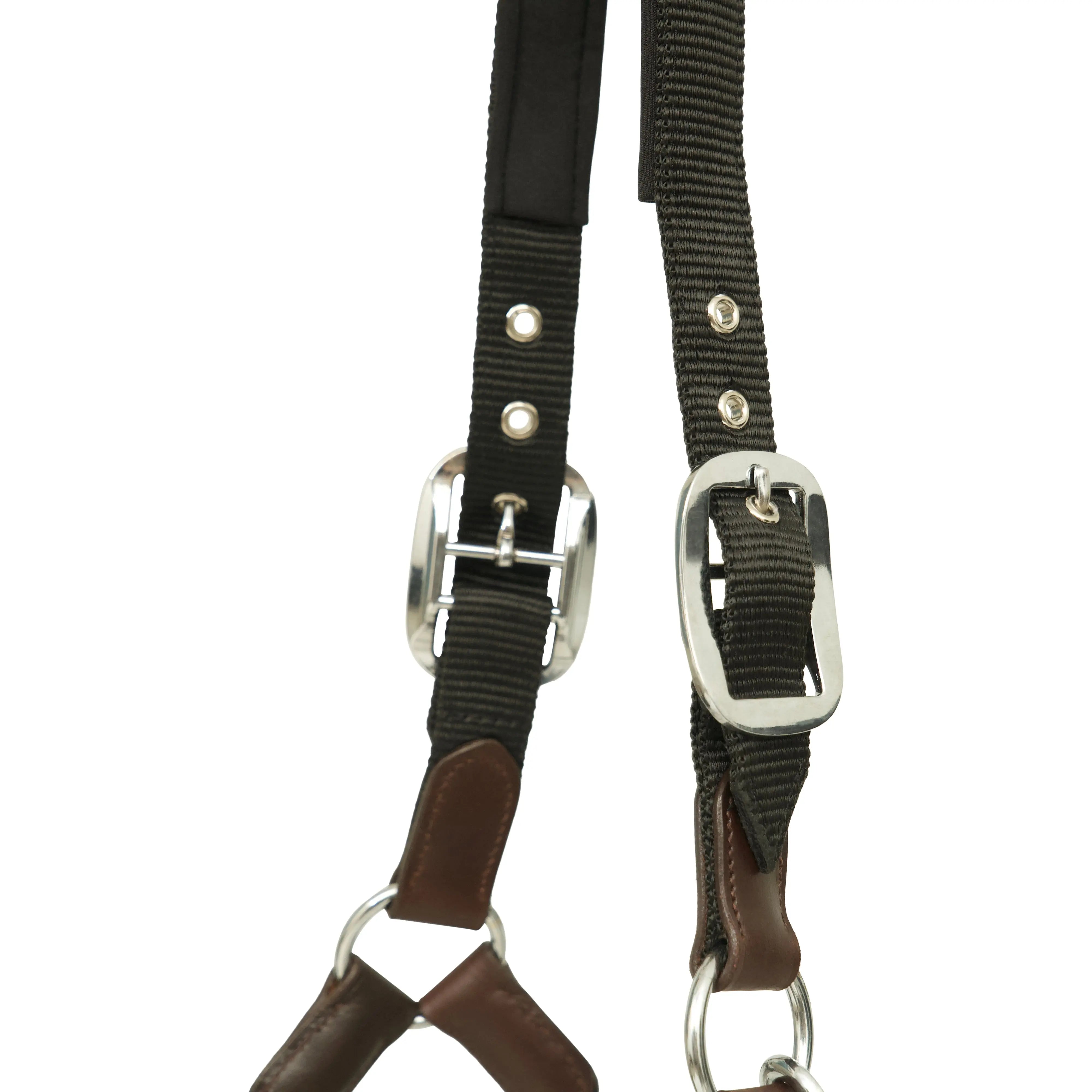 Huntley Nylon Halter and Removable Lead with Snap, Black Huntley Equestrian