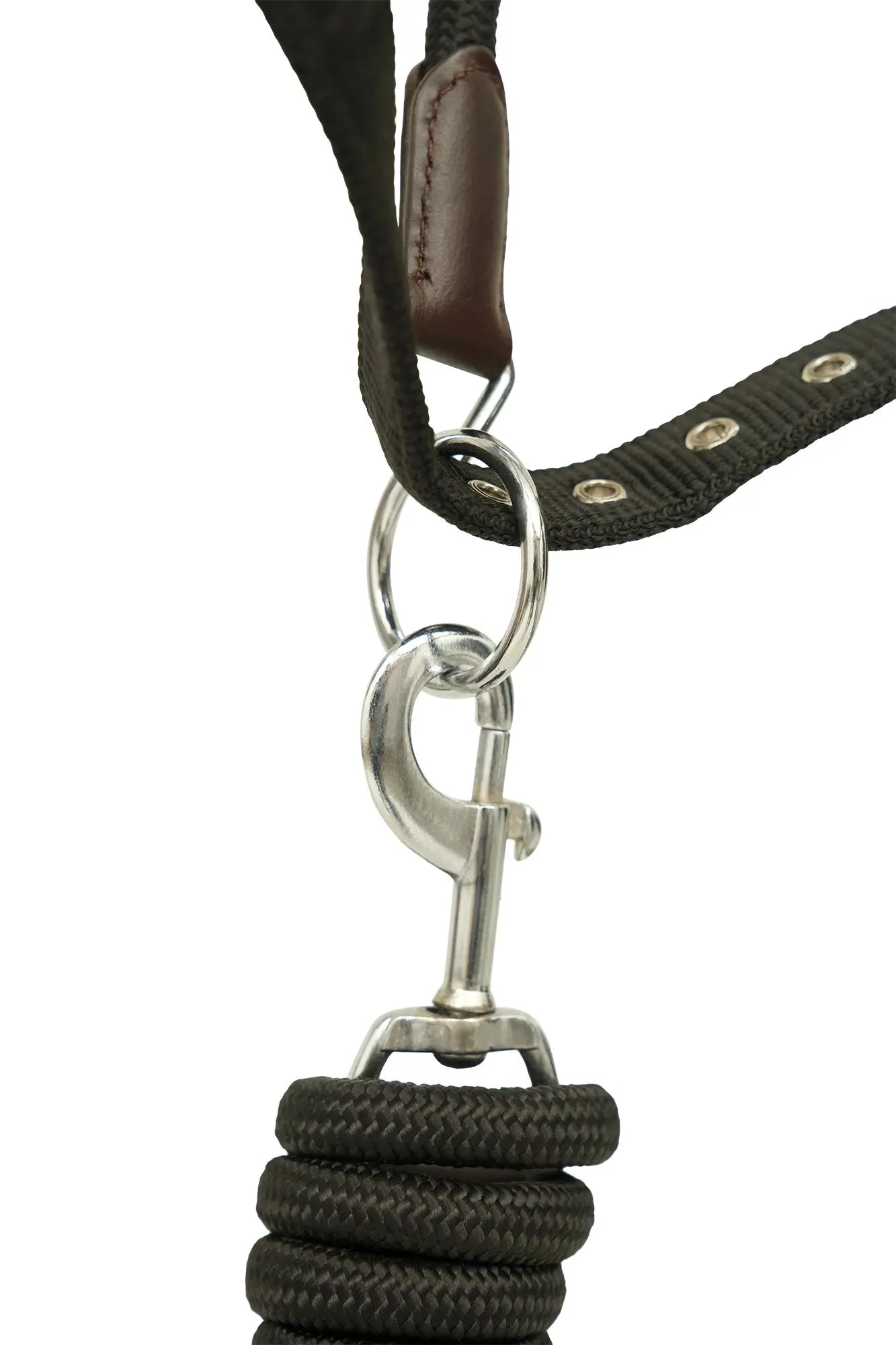 Huntley Nylon Halter and Removable Lead with Snap, Black Huntley Equestrian