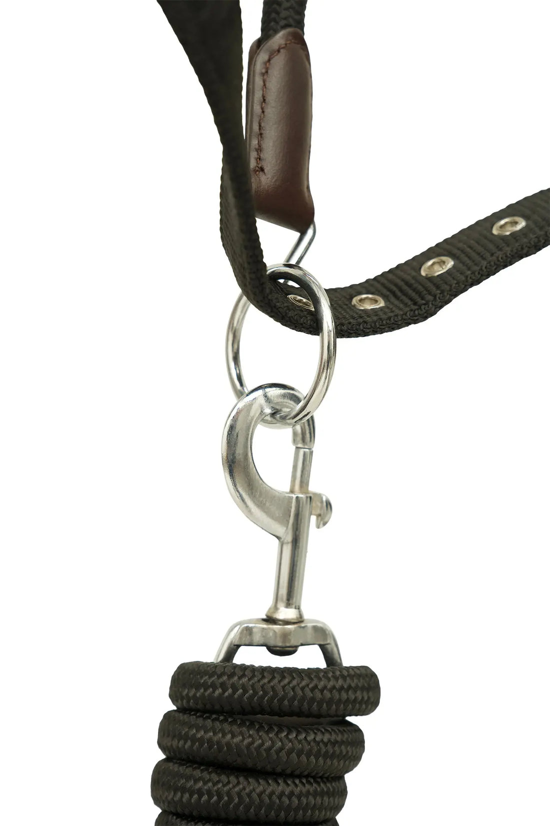 Huntley Nylon Halter and Removable Lead with Snap, Black Huntley Equestrian