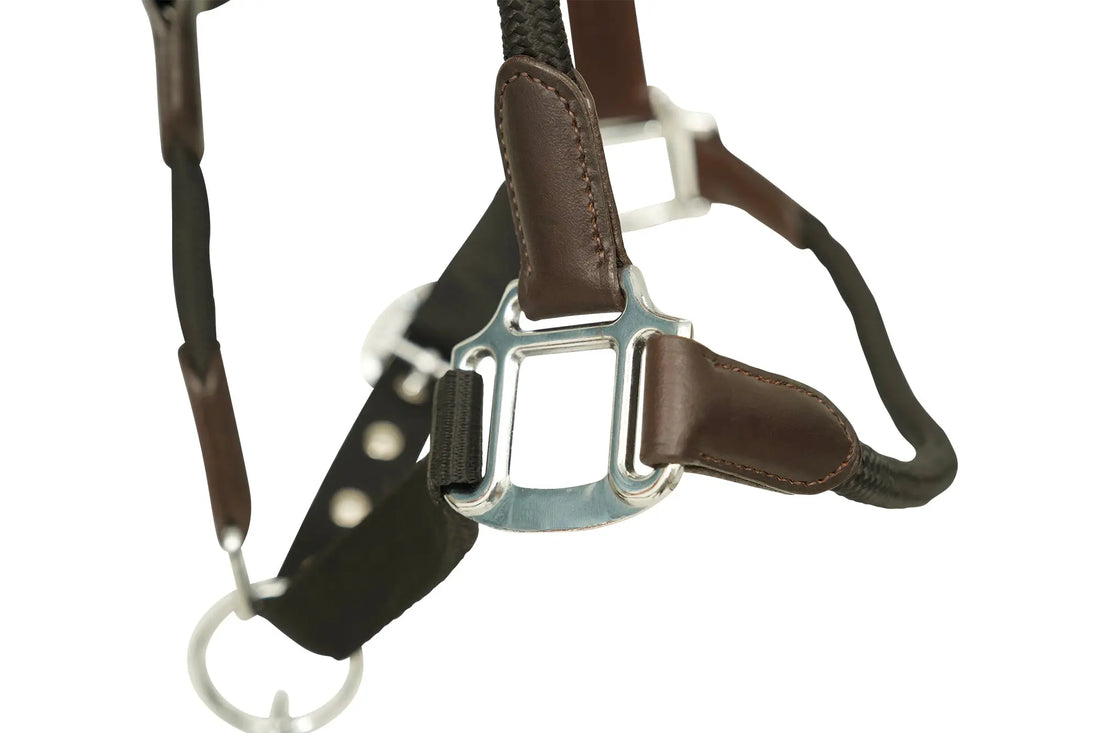 Huntley Nylon Halter and Removable Lead with Snap, Black Huntley Equestrian