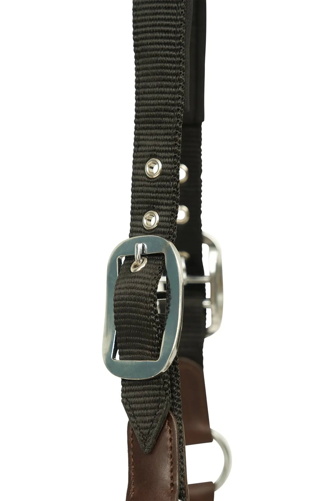 Huntley Nylon Halter and Removable Lead with Snap, Black Huntley Equestrian