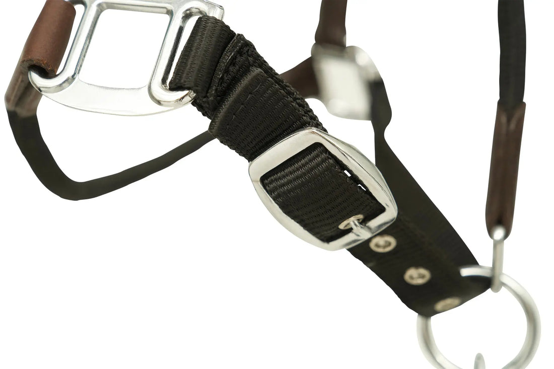 Huntley Nylon Halter and Removable Lead with Snap, Black Huntley Equestrian