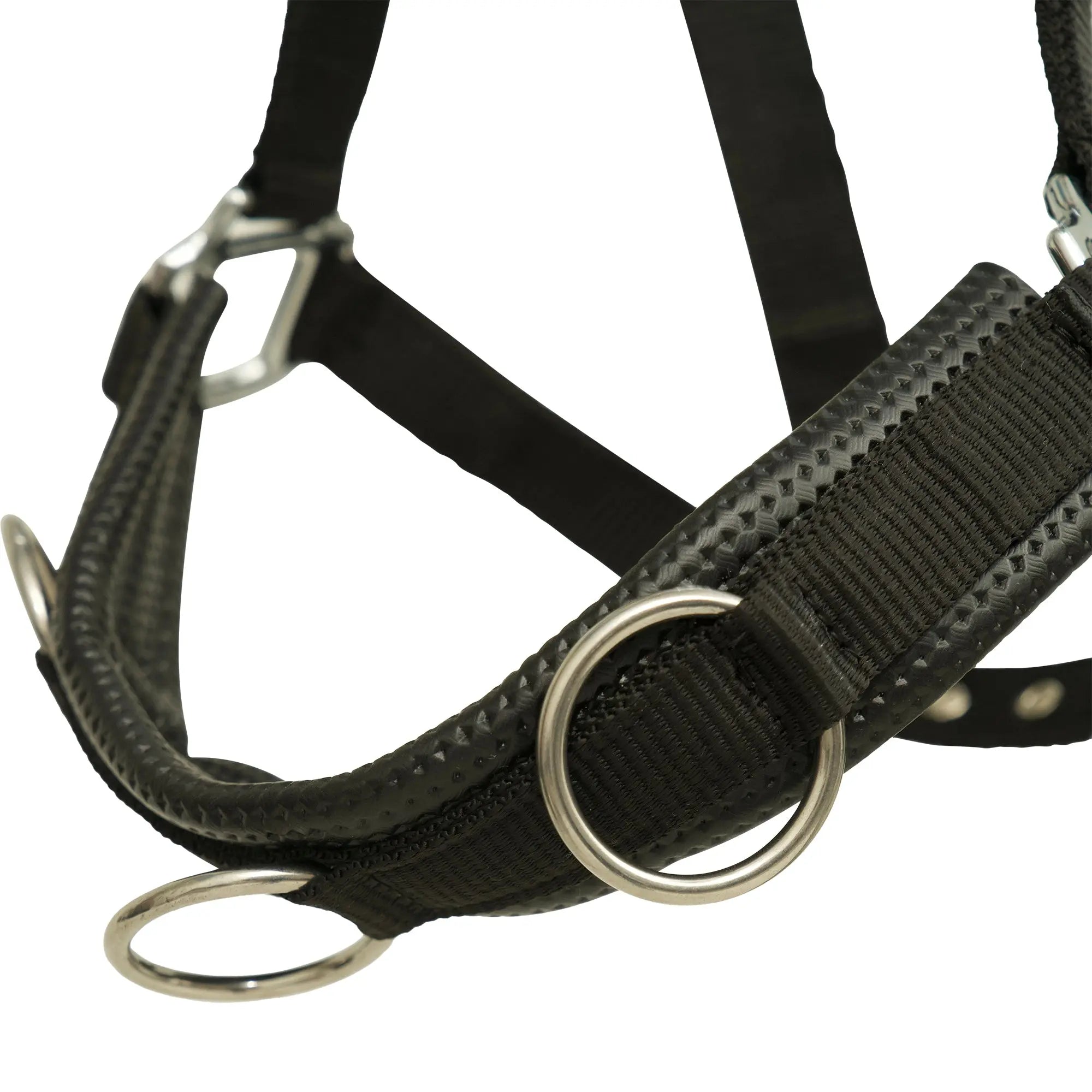 Huntley Nylon Padded Lunging Caveson, Black Huntley Equestrian