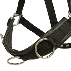 Huntley Nylon Padded Lunging Caveson, Black Huntley Equestrian