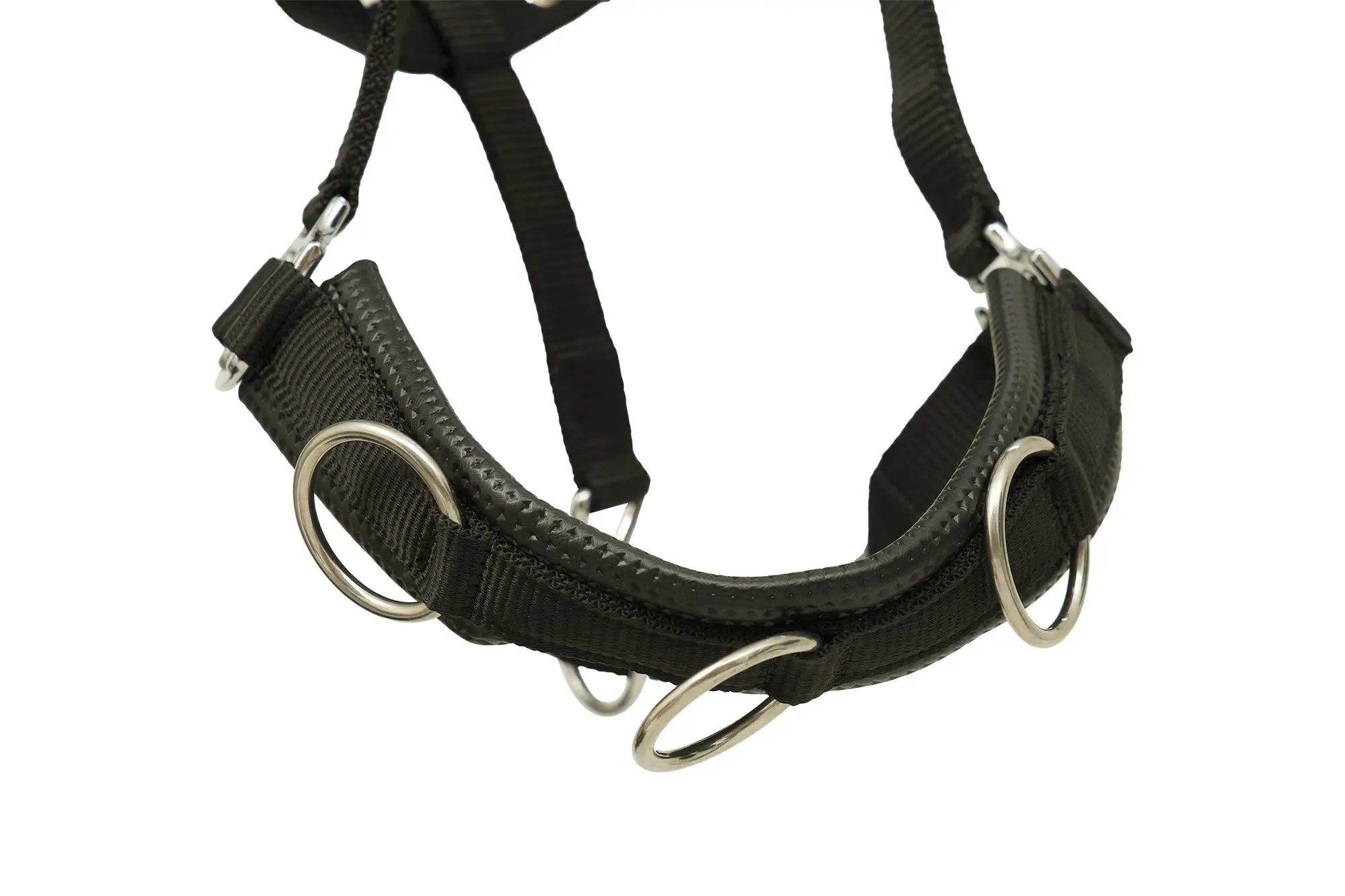 Huntley Nylon Padded Lunging Caveson, Black Huntley Equestrian