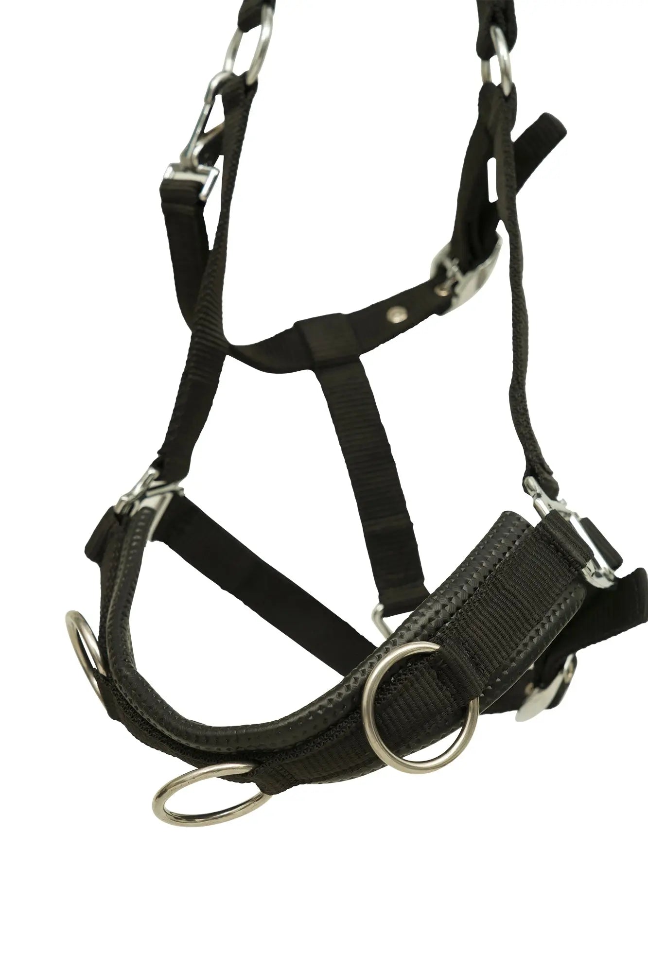 Huntley Nylon Padded Lunging Caveson, Black Huntley Equestrian