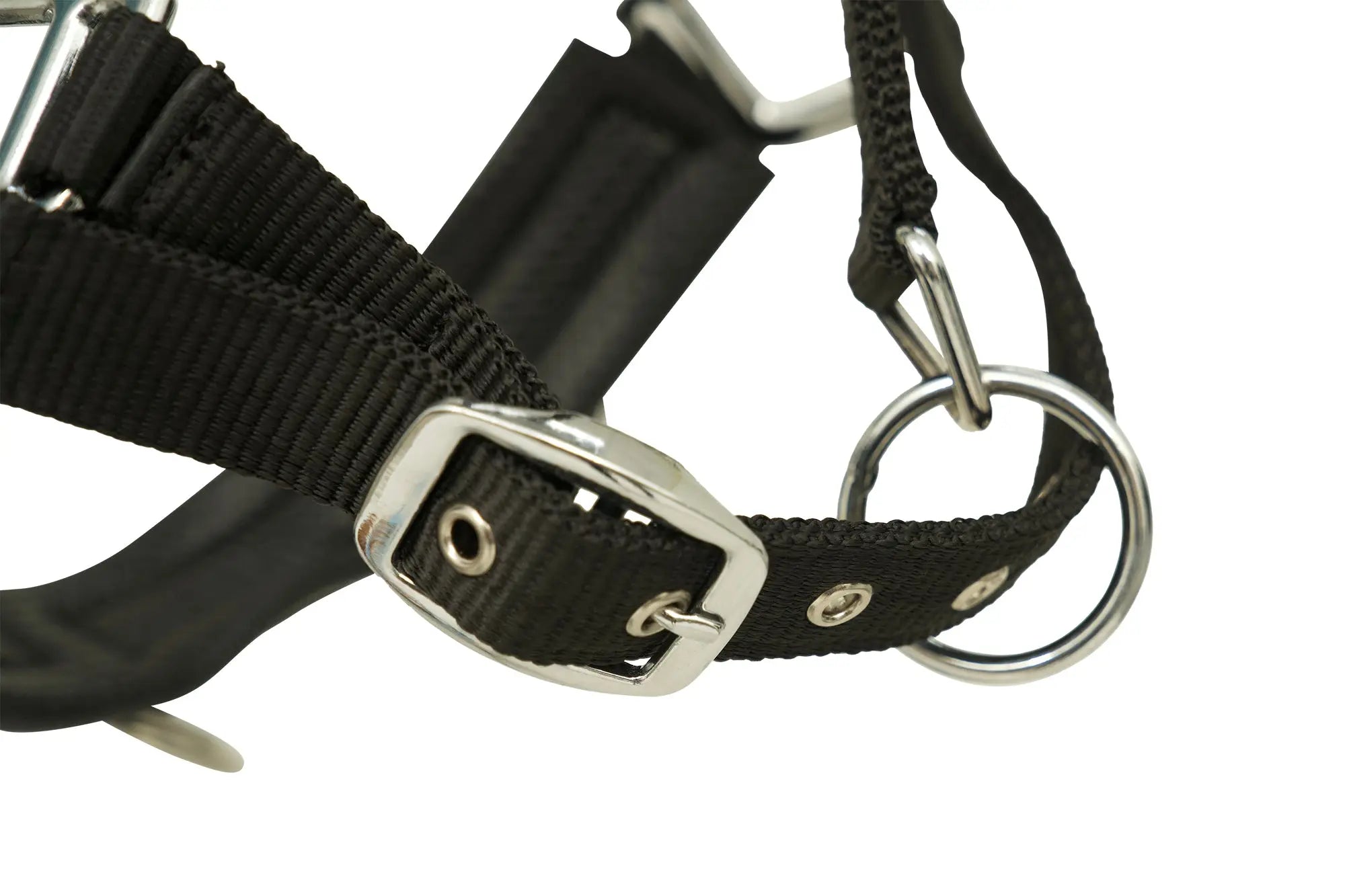 Huntley Nylon Padded Lunging Caveson, Black Huntley Equestrian