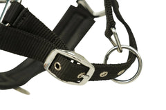 Huntley Nylon Padded Lunging Caveson, Black Huntley Equestrian